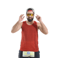 Schmidt Beach Volley Sticker by Red Bull