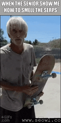 seowl_app seo seowl GIF