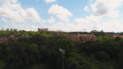 GIF by University of Florida