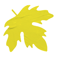 Falling Leaves Fall Sticker by thisandco
