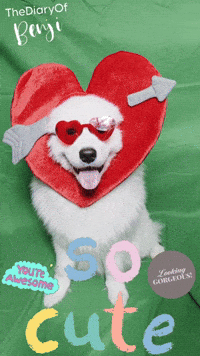 Beauty Love GIF
