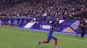 equipedefrance celebration goal but equipedefrance GIF