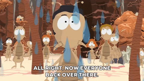 lice running GIF by South Park 