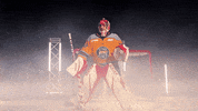 Hockey GIF by Toledo Walleye