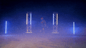 Hockey GIF by Toledo Walleye
