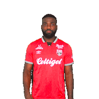 Phone Call Football Sticker by EA Guingamp