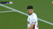 Moreno Granate GIF