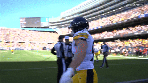 Excited Nfl GIF by Pittsburgh Steelers