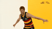 Rory Sloane Celebration GIF by Adelaide Crows