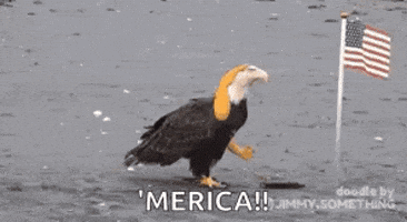 juevona2000  GIF