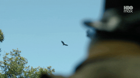 Michael Rooker Peacemaker GIF by HBO Max