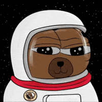Crypto Pump Bobo The Bear GIF by Bear Market Memes