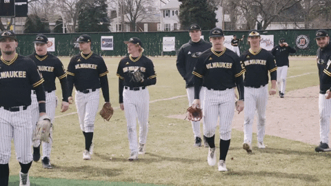 mkepanthers giphyupload baseball college panthers GIF