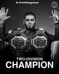 Khabib Nurmagomedov Ufc GIF