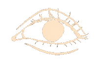 Eye No Sticker
