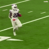 Buffalo Bills Nfl GIF
