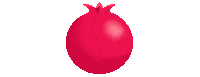 Fruit Seeds Sticker