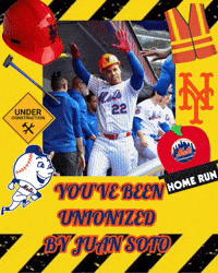 New York Mets Queens GIF