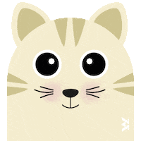 Cat Sticker Sticker by vetconcept