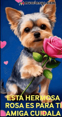 Rosa Esta GIF by Murcianys LLC