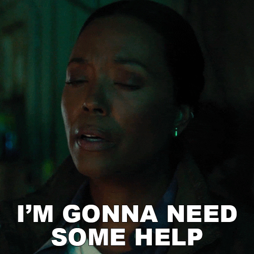 Bau Help GIF by Paramount+