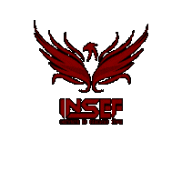 institutodeeducacaofenix escola educacao colegio fenix Sticker