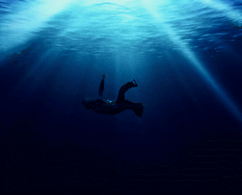 Masri GIF by Avalon Music