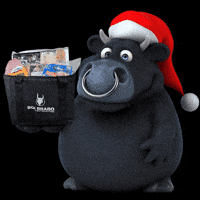 Fim De Ano GIF by Boi Brabo