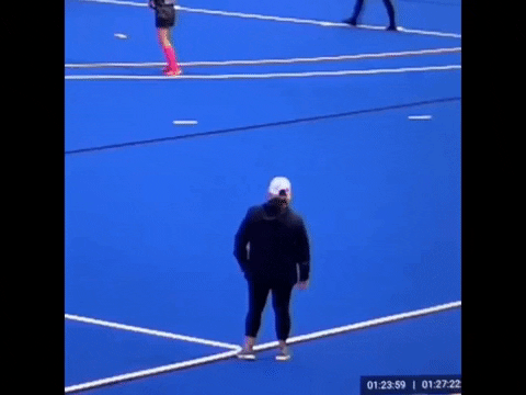 Celly GIF by Endicott Athletics