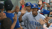 Regular Season Sport GIF by MLB