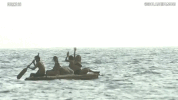 isola 12 GIF by Isola dei Famosi