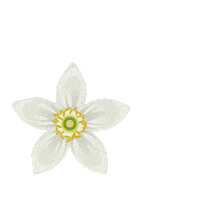 happy good vibes Sticker by Radox