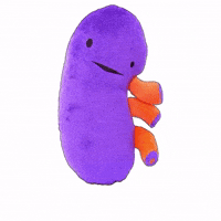 Organ Donation Doctor GIF by I Heart Guts