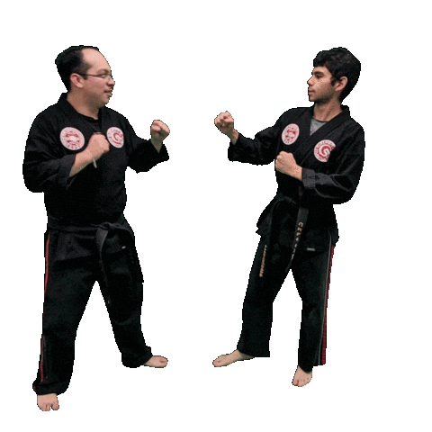 Karate Taekwondo Sticker by Team GMA
