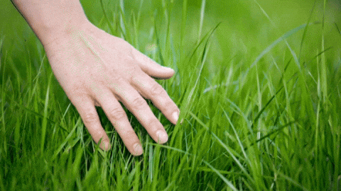 Touch Grass GIF
