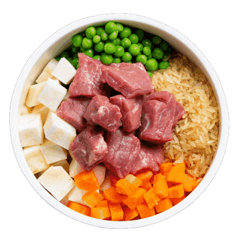 Hund Sticker by HelloBello Frischfutter