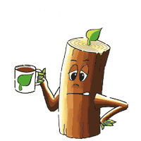 Coffee First Guten Morgen Sticker by STEICO