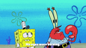 season 9 episode 25 GIF by SpongeBob SquarePants