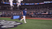 Blue Jays Sport GIF by MLB