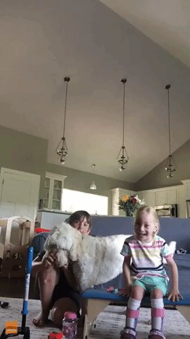4-Year-Old With Cerebral Palsy Takes First Steps on Her Own