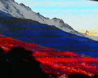 hot stuff vhs GIF by CAPITALWASTE