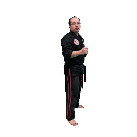 Karate Taekwondo Sticker by Team GMA