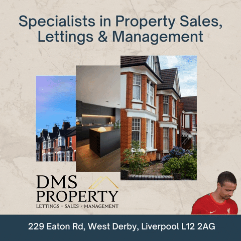 DMSProperty giphygifmaker giphyattribution dms dms property GIF