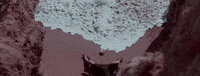 Ocean Waves GIF by Mind of a Genius