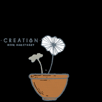 Creationskin flowers skincare plants natural GIF