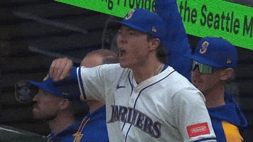 Celebrate Lets Go GIF by MLB