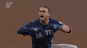 Lets Go Baseball GIF by MLB
