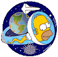 homer STICKER
