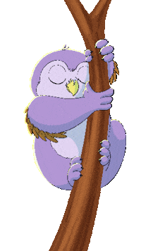 Little Owl Bear Sticker