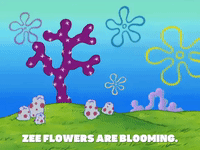 season 8 episode 3 GIF by SpongeBob SquarePants